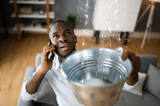 Best Water damage restoration near me  in Pequot Lakes, MN