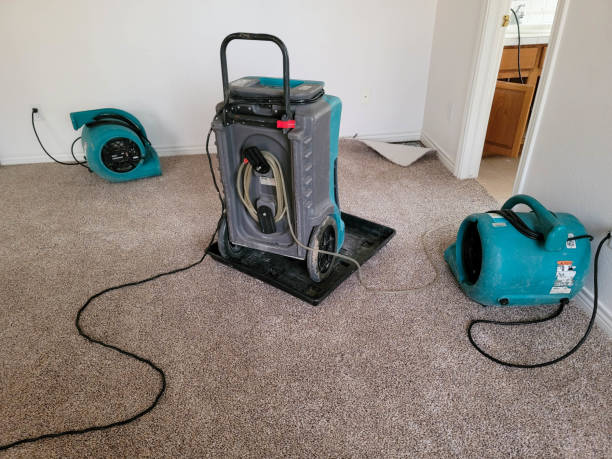Best Commercial water damage restoration  in Pequot Lakes, MN